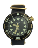 Regia Diver - Black dial (Gold) (free shipping)