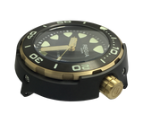 Regia Diver - Black dial (Gold) (free shipping)