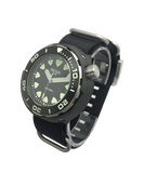 Regia Diver - Black dial (Silver) (free shipping)