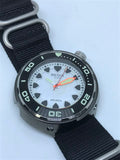 Regia Diver - NEW White Scuba Ghost RIDER dial (Silver) (free shipping)