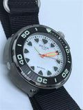 Regia Diver - NEW White Scuba Ghost RIDER dial (Silver) (free shipping)