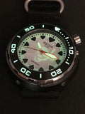 Regia Diver - NEW White Scuba Ghost RIDER dial (Silver) (free shipping)