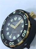 Custom made Regia Diver patina and aged dial - Black dial (free shipping) (1 piece only)