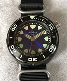 Regia Diver - NEW Blue sunburst dial (Silver) (free shipping)