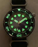 Regia Diver - NEW Blue sunburst dial (Silver) (free shipping)