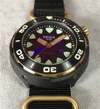 Regia Diver - NEW Blue sunburst dial (Gold) (free shipping)