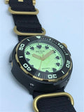Regia Diver - NEW Green Scuba Ghost dial (Gold) (free shipping)