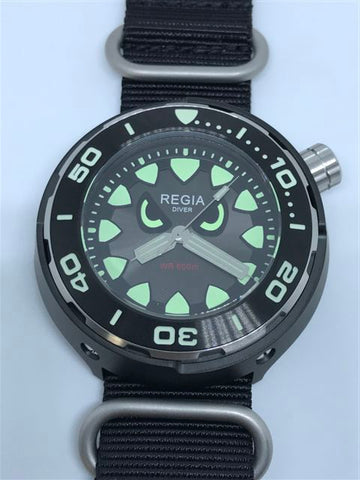 Regia Diver - NEW Angry Eye Grey sunburst dial (Silver) (free shipping)