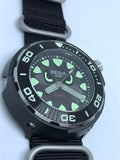Regia Diver - NEW Angry Eye Grey sunburst dial (Silver) (free shipping)