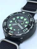 Regia Diver - NEW Angry Eye Grey sunburst dial (Silver) (free shipping)