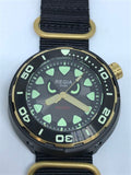 Regia Diver - NEW Angry Eye Grey sunburst dial (Gold) (free shipping)