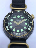 Regia Diver - NEW Grey sunburst dial (Gold) (free shipping)