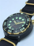 Regia Diver - NEW Grey sunburst dial (Gold) (free shipping)