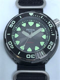 Regia Diver - NEW Grey sunburst dial (Silver) (free shipping)