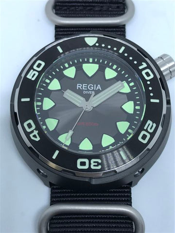 Regia Diver - NEW Grey sunburst dial (Silver) (free shipping)